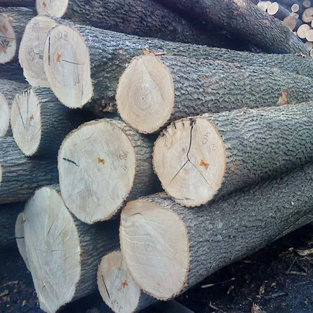 Ash-Round-Logs.png.webp