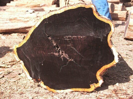 Ebony-Black-Ebony-Wood-Logs.jpg