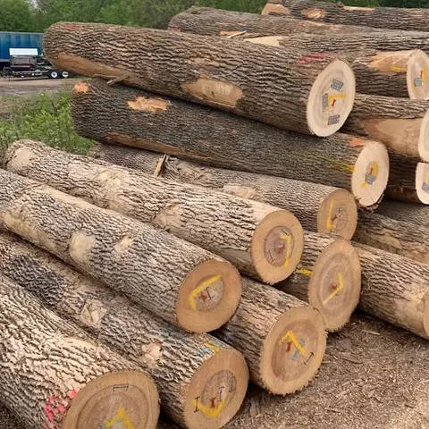 European-White-Ash-Logs.png.webp