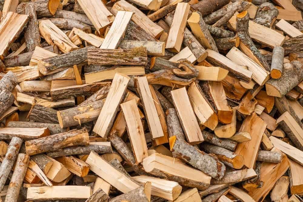 shutterstock_2168784877.jpg